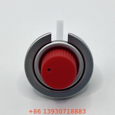 Straight Valve Stem Type Portable Gas Stove ValveWholesale 1/4 Inch NPT Outlet Thread