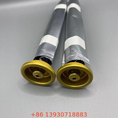 Female Aerosol Bag on Valve for Lotions and Sanitary Sprays and Personal Care