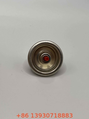 Stainless Steel Spring Refill Valve Fitting for Industrial featuring Outer Gasket Buna