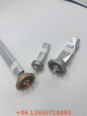 Innovative Bag on Valve for Food Packaging with Freshness-Preserving Technology
