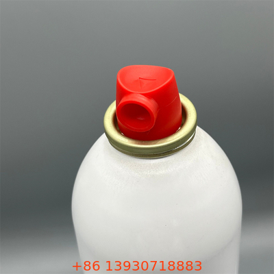 Stainless Steel Fire Extinguisher Valve for Commercial Buildings with Easy Installation