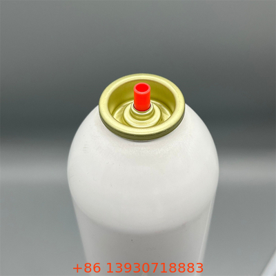 Professional Fire Extinguisher Valve Fittings  High  Pressure Tolerance for Industrial Use