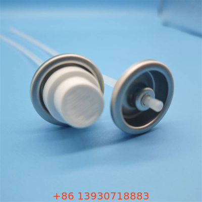 Professional Facial Water Sprayer Valve for Skincare Salons with Precise Dispensing