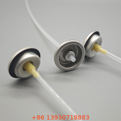Delicate Facial Water Sprayer Valve for Beauty Lovers  with Adjustable Mist Output