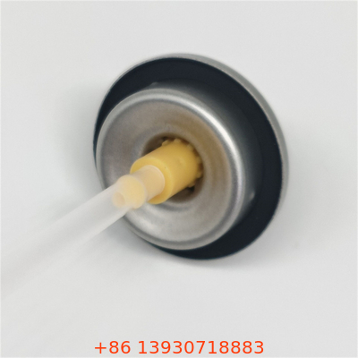 Premium Leak-Proof Dry Shampoo Spray Valve for Beauty Brands with Precision Dispensing