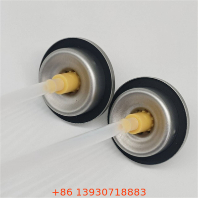 Hair Care Spray Valve with Actuator – Dry Shampoo Aerosol Valve for Salon and Personal Use
