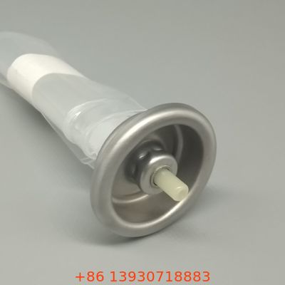 Innovative Bag-on-Valve System For Food And Cosmetic Aerosol Sprays