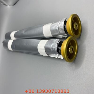 Female Aerosol Bag on Valve with Product-Propellant Separation for Spray Products