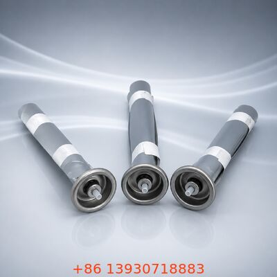 Professional Stainless Steel Male Bag-on-Valve with Quick-Connect Design for One Inch Aerosol Applications